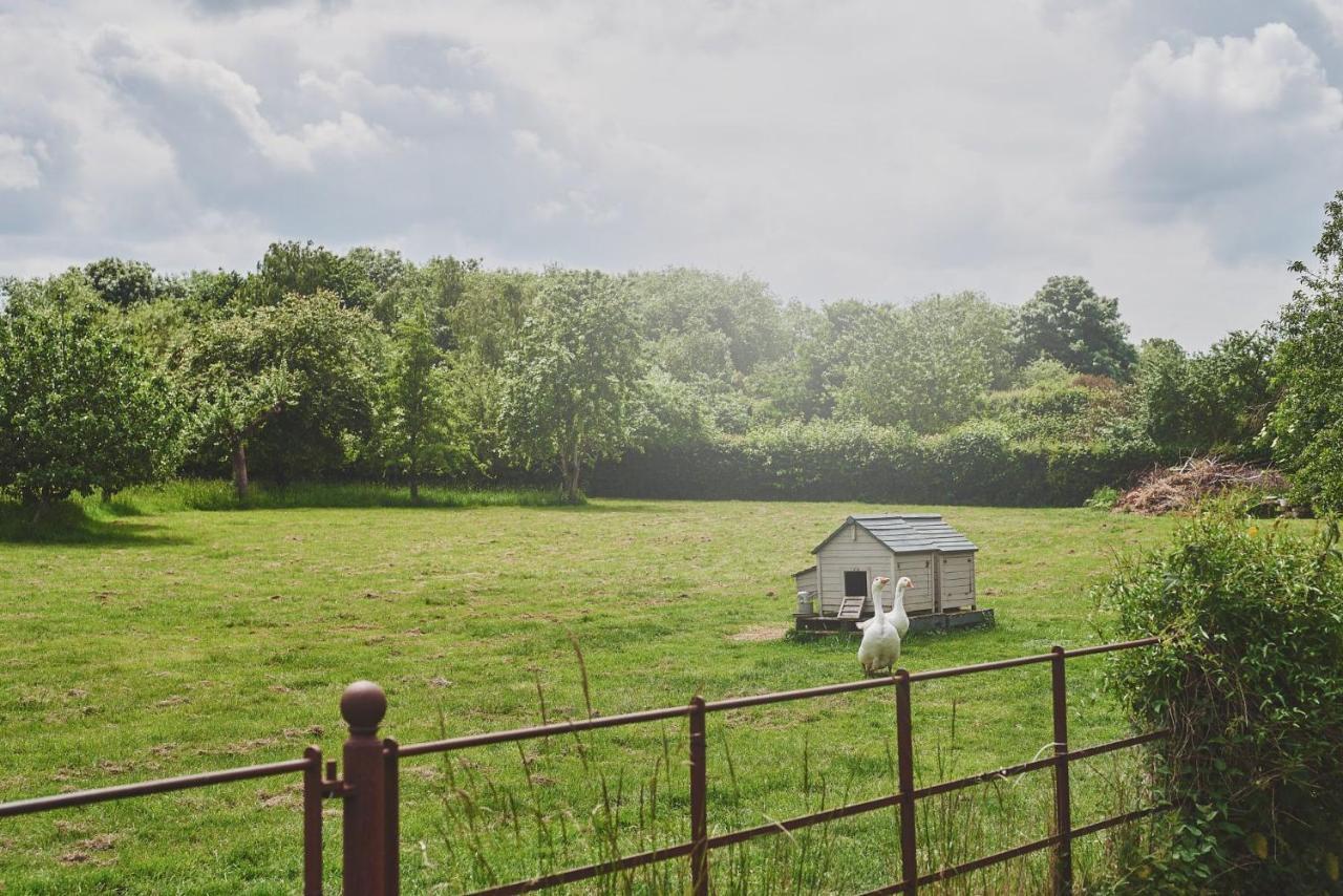 Apple Tree Cottage Beckford Exterior foto