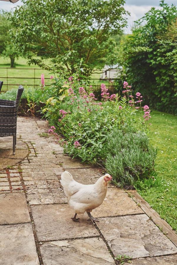 Apple Tree Cottage Beckford Exterior foto